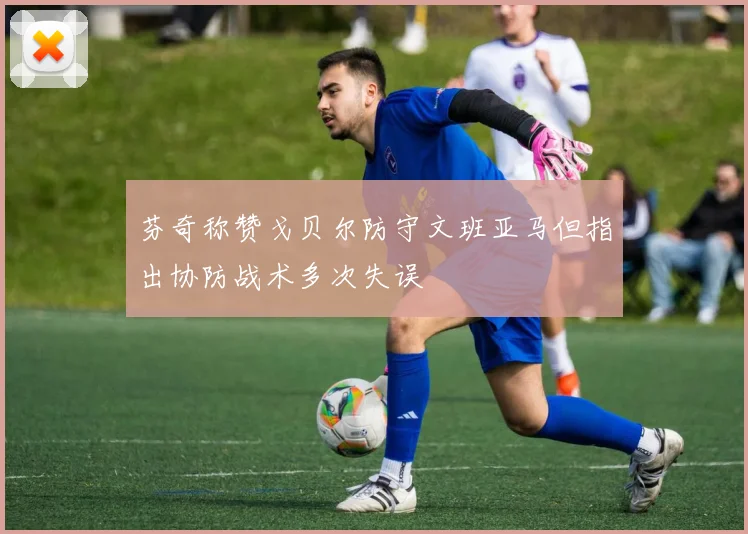 芬奇称赞戈贝尔防守文班亚马但指出协防战术多次失误